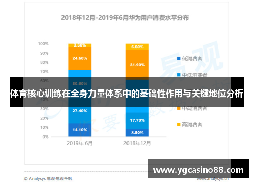 体育核心训练在全身力量体系中的基础性作用与关键地位分析